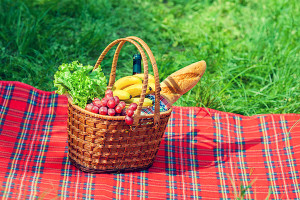 Make the Picnic, During the Picnic